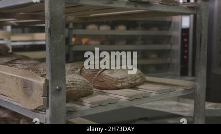 Nahaufnahme von frisch gebackenem Brot in der Bäckerei. Szene. Neue gebackene Charge Brot auf dem Regal gestellt. Frisches Backkonzept. Stockfoto