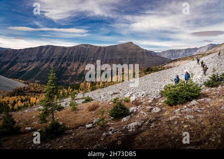 Eine Gruppe von Touristen wandern in den Rocky Mountains mit Lärchen in Herbstfarben Stockfoto