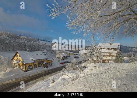 FRANKREICH, VOSGES (88), NATURPARK BALLONS DES VOSGES, COL DE LA SCHLUCHT IM WINTER Stockfoto