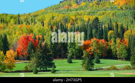 Ein Mischwald, der in der Herbstsaison beginnt, die Farben zu ändern, sowohl auf dem flachen Boden als auch auf den Bergen in Ontario, Kanada. Stockfoto