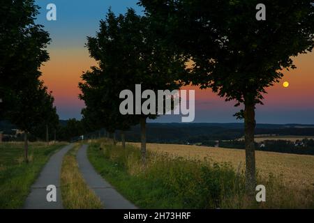 Feldweg mit Bäumen im Sonnenuntergang Stockfoto