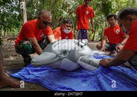 Freiwillige üben die Technik des Umgangs mit einem gestrandeten Meeressäuger-Dummy während einer Trainingseinheit zur Rettung von Meeressäugern.World Wide Fund for Nature (WWF) Indonesien und lokale Autorisierungen organisierten eine Trainingseinheit für Stranded Marine Mammals Handling Techniques für den 'First Responder' am Maimol Beach, Alor. „First Responder“ ist der Begriff für diejenigen, die in der Lage sind, schnell zu reagieren und Strandsäugetiere zu retten und einen Bericht für eine weitere Vorbehandlung zu erstellen. Nach Angaben der Datenbank des WWF Indonesien gibt es seit 2017 31 gestrandete Fälle sowohl für einzelne als auch für Gruppen marine m Stockfoto