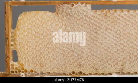 Bienenwabe mit Honig in einem Holzrahmen. Stockfoto