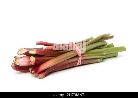 Frisch geerntete Rhabarber-Stiele, die auf weißem Hintergrund zusammengebunden sind, zeigen lebendige Farben und einzigartige Texturen Stockfoto