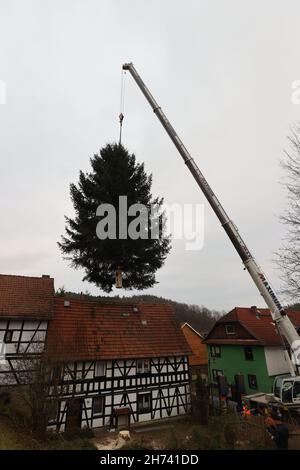 Thüringen, Deutschland. 20th. November 2021. 20. November 2021, Thüringen, Königsee: Eine 17 Meter hohe Fichte hängt an einem Kran und wird auf einen Transporter verladen. Die Fichte wird nach Berlin transportiert und soll vor dem Brandenburger Tor errichtet werden. Zum siebten Mal kommt der Weihnachtsbaum am Brandenburger Tor aus Thüringen. Die Beleuchtung in Berlin findet am 28. November statt. Foto: Bodo Schackow/dpa-Zentralbild/dpa Quelle: dpa picture Alliance/Alamy Live News Stockfoto