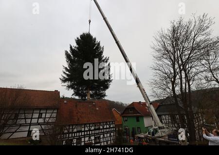 Thüringen, Deutschland. 20th. November 2021. 20. November 2021, Thüringen, Königsee: Eine 17 Meter hohe Fichte hängt an einem Kran und wird auf einen Transporter verladen. Die Fichte wird nach Berlin transportiert und soll vor dem Brandenburger Tor errichtet werden. Zum siebten Mal kommt der Weihnachtsbaum am Brandenburger Tor aus Thüringen. Die Beleuchtung in Berlin findet am 28. November statt. Foto: Bodo Schackow/dpa-Zentralbild/dpa Quelle: dpa picture Alliance/Alamy Live News Stockfoto