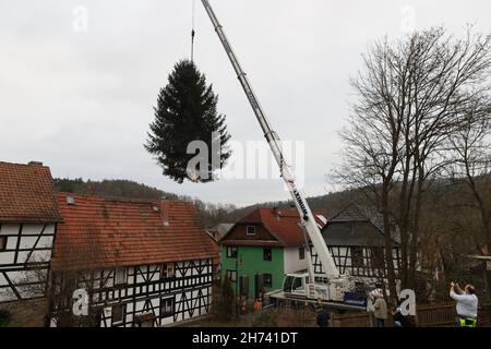 Thüringen, Deutschland. 20th. November 2021. 20. November 2021, Thüringen, Königsee: Eine 17 Meter hohe Fichte hängt an einem Kran und wird auf einen Transporter verladen. Die Fichte wird nach Berlin transportiert und soll vor dem Brandenburger Tor errichtet werden. Zum siebten Mal kommt der Weihnachtsbaum am Brandenburger Tor aus Thüringen. Die Beleuchtung in Berlin findet am 28. November statt. Foto: Bodo Schackow/dpa-Zentralbild/dpa Quelle: dpa picture Alliance/Alamy Live News Stockfoto