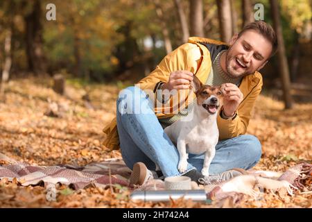 Schöner Mann mit witzigem Jack Russel Terrier im Park am Herbsttag Stockfoto