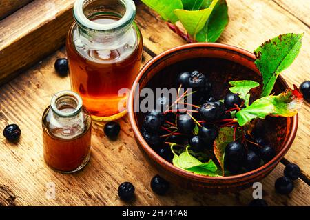 Trauben von frischer Apfelbeere. Kräutermedizin und Homöopathie Stockfoto