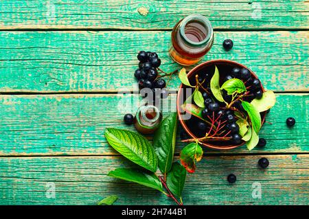 Trauben von frischer Apfelbeere. Kräutermedizin und Homöopathie Stockfoto