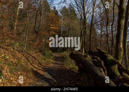 Wanderweg in der Gegend namens Helletal in der Nähe der Stadt Winterberg Stockfoto