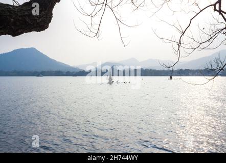 Landschaft mit See, Boot, Pagode und Bergen. Wunderschöne Hangzhou West Seenlandschaft, Leifeng Pagode im Nachglühen. Stockfoto