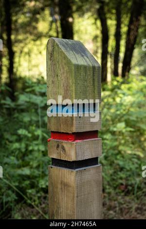 Nahaufnahme eines dreifarbigen Wegzeichens auf einem Waldweg in Schottland Stockfoto