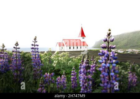 Wunderschöne, rot überdachte Vikurkirkja-Kirche in Icelanks Vik i Myrdal. Stockfoto