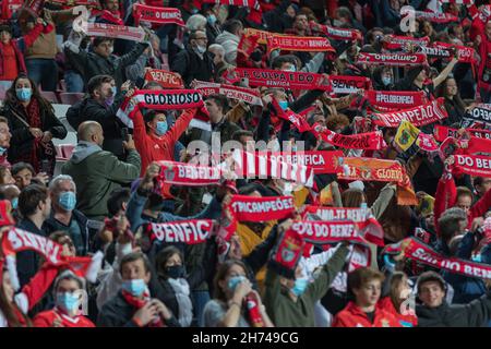 Lissabon, Portugal. 19th. November 2021. 19. November 2021. Lissabon, Portugal. Benfica-Fans während der 4th. Runde des portugiesischen Pokals: Benfica gegen Pacos de Ferreira © Alexandre de Sousa/Alamy Live News Credit: Alexandre Sousa/Alamy Live News Stockfoto