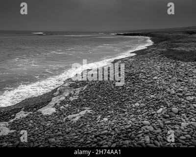 Graustufen-Aufnahme von Strandwellen und Meeresfelsen Stockfoto