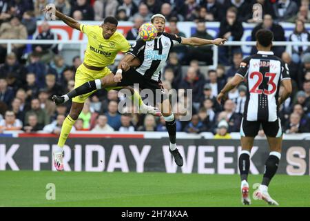 Newcastle, Großbritannien. NOV 20th Ethan Pinnock von Brentford und Joelinton von Newcastle United in Aktion während des Premier League-Spiels zwischen Newcastle United und Brentford im St. James's Park, Newcastle am Samstag, 20th. November 2021. (Kredit: Will Matthews | MI News) Kredit: MI News & Sport /Alamy Live News Stockfoto