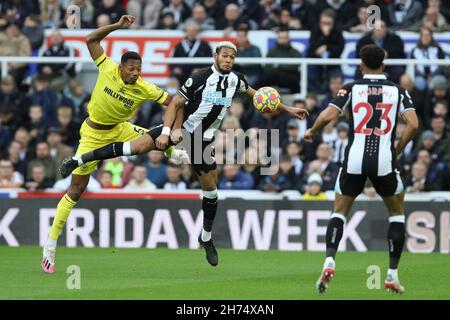 Newcastle, Großbritannien. NOV 20th Ethan Pinnock von Brentford und Joelinton von Newcastle United in Aktion während des Premier League-Spiels zwischen Newcastle United und Brentford im St. James's Park, Newcastle am Samstag, 20th. November 2021. (Kredit: Will Matthews | MI News) Kredit: MI News & Sport /Alamy Live News Stockfoto