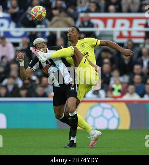 Newcastle, Großbritannien. NOV 20th Ethan Pinnock von Brentford und Joelinton von Newcastle United in Aktion während des Premier League-Spiels zwischen Newcastle United und Brentford im St. James's Park, Newcastle am Samstag, 20th. November 2021. (Kredit: Will Matthews | MI News) Kredit: MI News & Sport /Alamy Live News Stockfoto