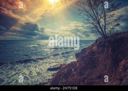 Wunderschöner, wilder Strand mit dramatischem Himmel. Einsamer Baum auf einer Klippe über dem Meer. Seascape am Abend Stockfoto