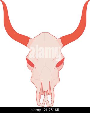 Kuhschädel. Farbe Stock Vektor