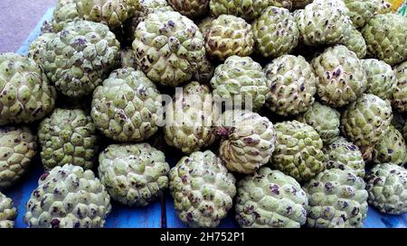 Eine Nahaufnahme Pudding Apfelfrucht auf dem frischen Markt zu verkaufen. Annona reticulata Stockfoto