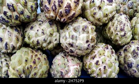 Eine Nahaufnahme Pudding Apfelfrucht auf dem frischen Markt zu verkaufen. Annona reticulata Stockfoto