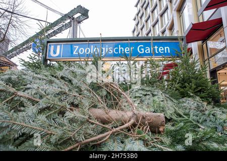 Berlin, Deutschland. 20th. November 2021. Weihnachtsbäume vor der U-Bahn-Station in Berlin, Deutschland, am 20. November 2021. (Foto: Michael Kuenne/PRESSCOV/Sipa USA) Quelle: SIPA USA/Alamy Live News Stockfoto