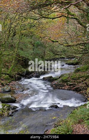 East Lyn River im Herbst Devon UK Stockfoto