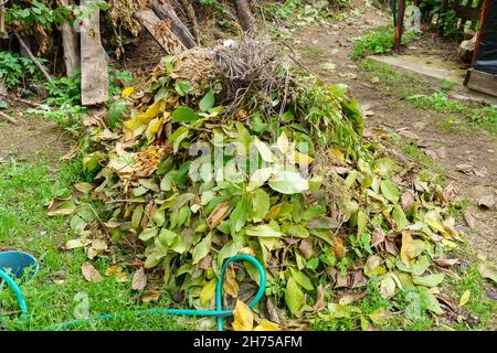 Trockene Blätter und Äste großen Haufen im Freien im Hinterhof auf grünem Gras Hintergrund. Stockfoto