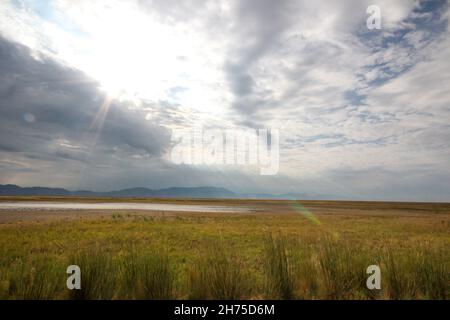 Schöne Szene von Sonnenstrahlen, die durch die Wolken über einem Weizenfeld kommen Stockfoto
