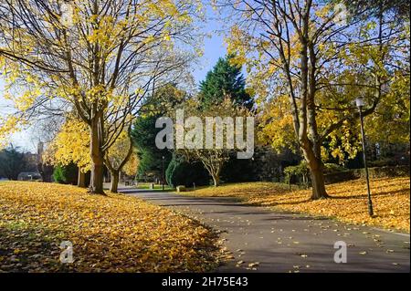 Blick auf eine schmale Straße durch Parklandschaft auf dem viktorianischen Friedhof von Boston an einem sonnigen Herbsttag Stockfoto