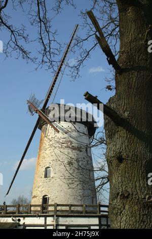 Verfallene, vernachlässigte, verlassene alte Windmühle (1920) Stockfoto