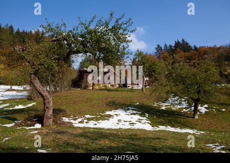 Altes, abgeschiedenes Häuschen mit Obstgarten, schmelzendem Schnee Stockfoto