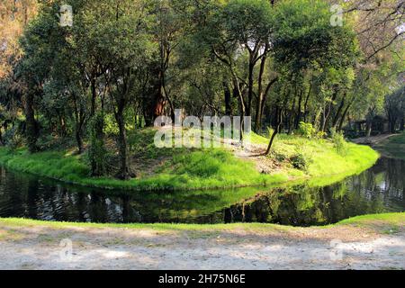 Kleiner Teich im Park Chapultepec in Mexiko-Stadt. Stockfoto