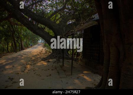 Der Tempel befindet sich unter dem banyan-Baum am Fluss. Dies ist die Flussnatur von Bangladesch. Stockfoto