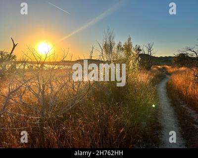 Schlendern Sie im Abendlicht eines Sonnenuntergangs am See in Texas entlang eines Naturlehrpfades Stockfoto