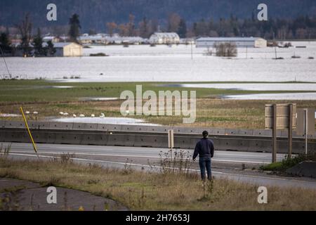 Fraser Valley Farmers Ackern überschwemmt von sintflutartigen Regenfällen, Auswirkungen des Klimawandels, Naturkatastrophen, starken Überschwemmungen, British Columbia. Stockfoto