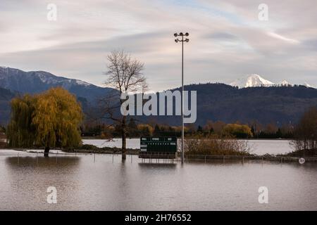 Fraser Valley Farmers Ackern überschwemmt von sintflutartigen Regenfällen, Auswirkungen des Klimawandels, Naturkatastrophen, starken Überschwemmungen, British Columbia. Stockfoto