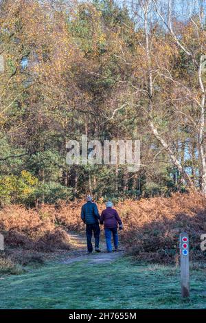 Aktives Seniorenpaar, das sich an einem hellen Herbsttag auf einen Spaziergang durch die Wälder im Dersingham Bog National Nature Reserve begibt. Stockfoto