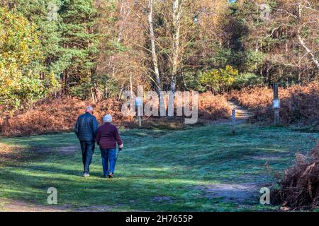 Aktives Seniorenpaar, das sich an einem hellen Herbsttag auf einen Spaziergang durch die Wälder im Dersingham Bog National Nature Reserve begibt. Stockfoto