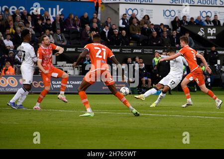 Swansea, Großbritannien. 20th. November 2021. Joel Piroe von Swansea City schießt und schießt seinem Team 1st Tore. EFL Skybet Championship match, Swansea City gegen Blackpool im Swansea.com Stadium in Swansea am Samstag, 20th. November 2021. Dieses Bild darf nur für redaktionelle Zwecke verwendet werden. Nur zur redaktionellen Verwendung, Lizenz für kommerzielle Nutzung erforderlich. Keine Verwendung bei Wetten, Spielen oder Veröffentlichungen in einem Club/einer Liga/einem Spieler. Bild von Andrew Dowling/ Kredit: Andrew Orchard Sportfotografie/Alamy Live News Stockfoto