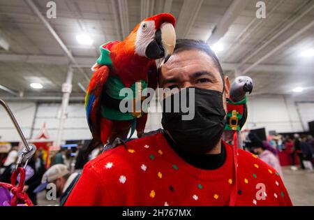 Mississauga, Kanada. 20th. November 2021. Verkleidete Papageien posieren mit ihrem Besitzer für Fotos während der Toronto Christmas Pet Show in Mississauga, dem Großraum Toronto, Kanada, am 20. November 2021. Von Samstag bis Sonntag findet hier die Familienschau statt, bei der Wettbewerbe für Haustiere, ein Ferienmarkt, Fotokabinen für Haustiere und vieles mehr angeboten werden. Quelle: Zou Zheng/Xinhua/Alamy Live News Stockfoto