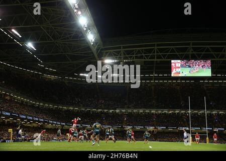 Cardiff, Großbritannien. 20th. November 2021. Aaron Wainwright aus Wales gewinnt einen Lineout-Ball. Rugby Herbst Nationen Serie Spiel, Wales gegen Australien im Fürstentum Stadion in Cardiff am Samstag 20th November 2021. PIC von Andrew Orchard/Andrew Orchard Sport Fotografie/ Alamy Live News Kredit: Andrew Orchard Sport Fotografie/Alamy Live Nachrichten Stockfoto