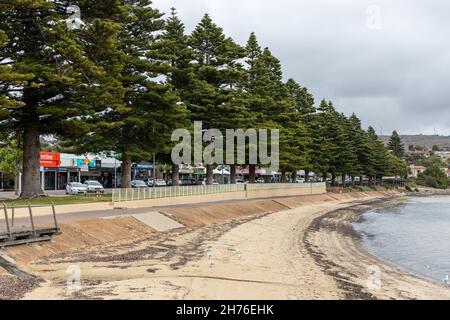 Die Pinien am Vorland von Port Lincoln South Australia am 19th 2021. November Stockfoto