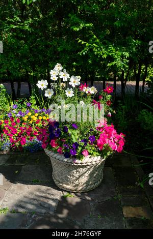 An einem sonnigen Sommertag steht im Garten vor den Bäumen ein Blumentopf aus Kosmos- und Petunienblumen. Vertikale Aufnahme. Stockfoto