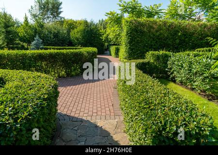 Die Büsche, wunderschön geschnitten, umrahmen die Wege im Park an einem sonnigen Sommertag. Stockfoto