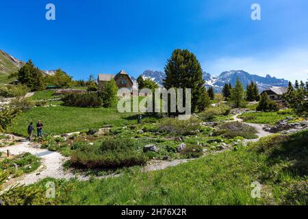 HAUTES-ALPES (05), VILLAR D'ARENE, LAUTARET, ALPINE RESORT JOSEPH FOURIER, ALPINE BOTANICAL GARDEN LAUTARET UND DAS MASSIV MEIJE Stockfoto