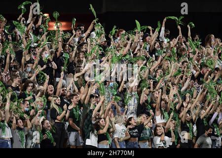 Honolulu, Hawaii, USA. 20th. November 2021. Hawaii-Fans winkten Teeblätter während eines Spiels zwischen den Colorado State Rams und den Hawaii Rainbow Warriors, die im Clarence T.C. gespielt wurden Ching Field Manoa Campus, Honolulu, Hawaii. (Bild: © Steven Erler/ZUMA Press Wire) Stockfoto