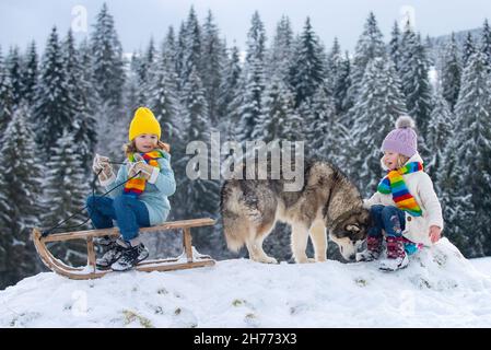 Glückliches kleines Mädchen und Junge mit Husky Hundeschlitten im Winter. Kinder Geschwister Reiten auf Schneerutschen im Winter. Sohn und Tochter genießen eine Schlittenfahrt. Stockfoto